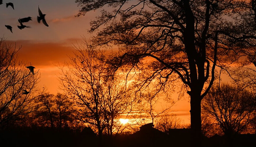 Kan de zon schijnen als ie nog niet op is?