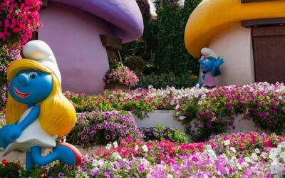 Vind of vindt? Nooit meer fouten maken